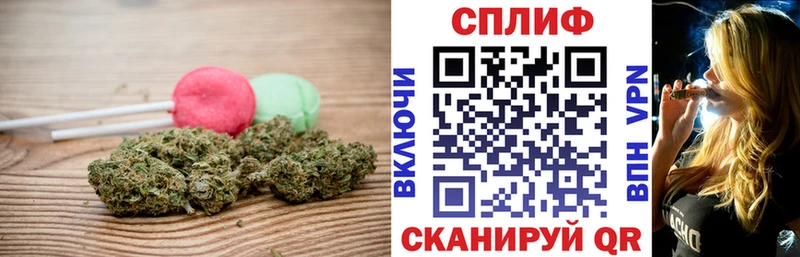 Купить  Саки  Canna-Cookies марихуана 