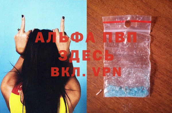 гидра Пестово