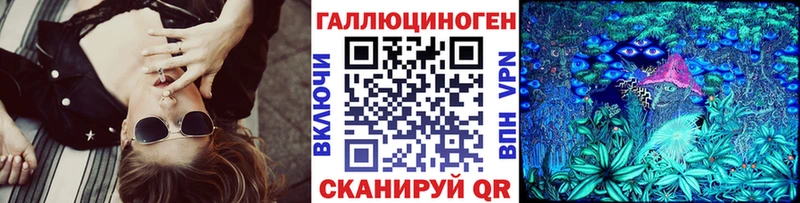 Купить где  Саки  Псилоцибиновые грибы Psilocybe 